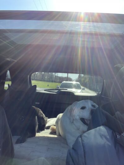 Not a public Dog Park - Carlisle, PA