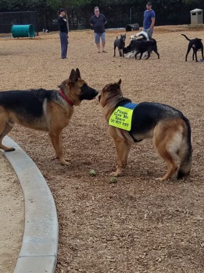 Alga Norte Dog Park - Carlsbad, CA