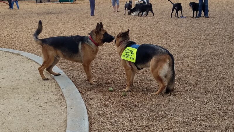 Alga Norte Dog Park - Carlsbad, CA