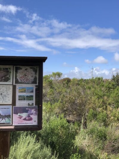 Cadencia Park - Carlsbad, CA