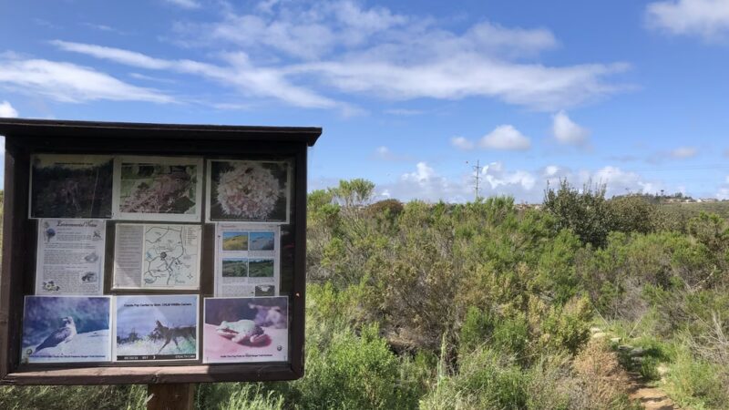 Cadencia Park - Carlsbad, CA