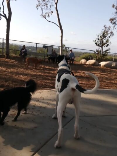 Hidden Canyon Park - Carlsbad, CA