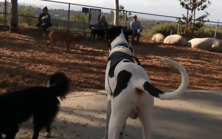 Hidden Canyon Park - Carlsbad, CA