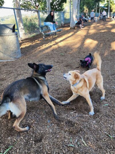 Hidden Canyon Park - Carlsbad, CA