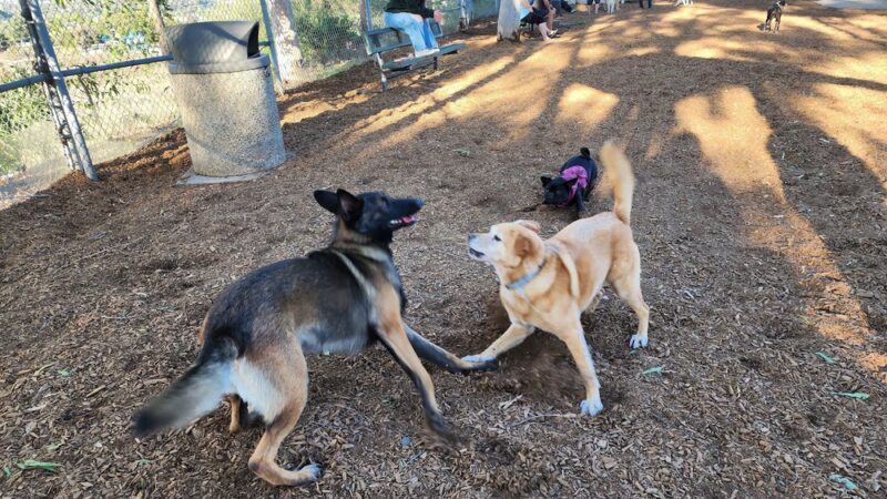 Hidden Canyon Park - Carlsbad, CA