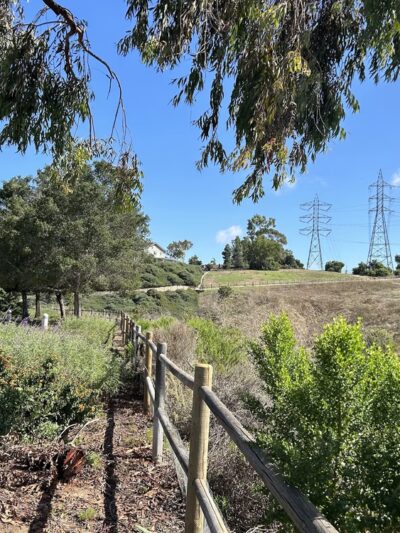 Hidden Canyon Park - Carlsbad, CA