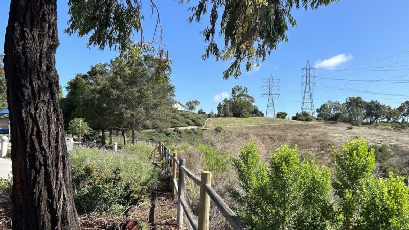 Hidden Canyon Park - Carlsbad, CA