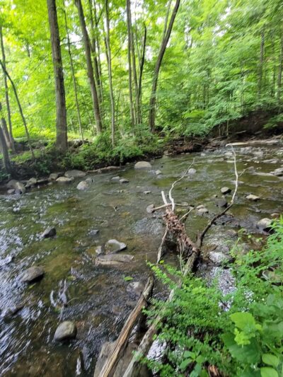 Edward Ryan Memorial Park - Carmel Hamlet, NY