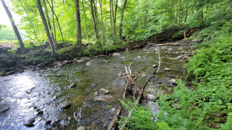 Edward Ryan Memorial Park - Carmel Hamlet, NY