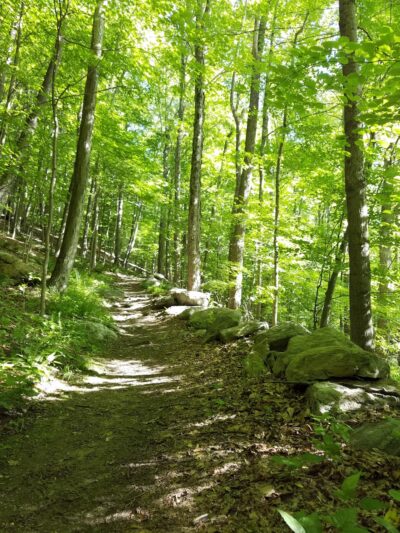 Fred Dill Wildlife Sanctuary - Carmel Hamlet, NY