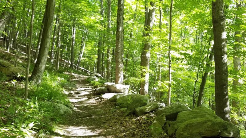 Fred Dill Wildlife Sanctuary - Carmel Hamlet, NY