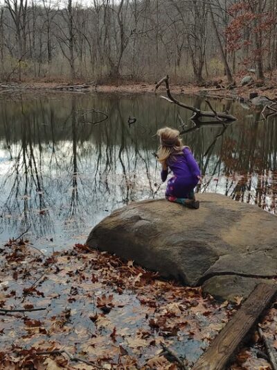 Fred Dill Wildlife Sanctuary - Carmel Hamlet, NY