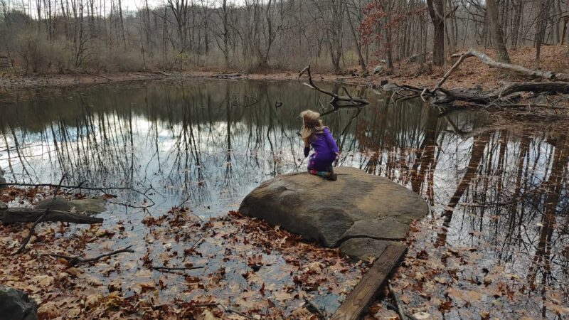 Fred Dill Wildlife Sanctuary - Carmel Hamlet, NY