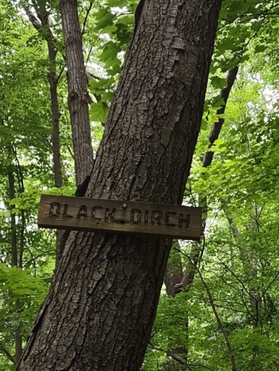 Fred Dill Wildlife Sanctuary - Carmel Hamlet, NY