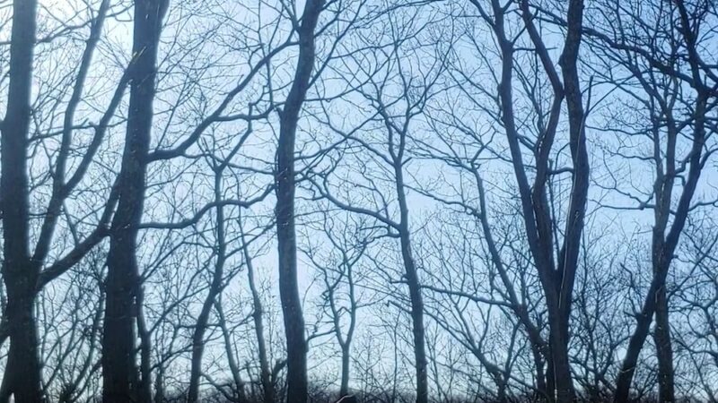 Nimham Mountain Multiple Use Area - Carmel Hamlet, NY