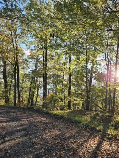 Nimham Mountain Multiple Use Area - Carmel Hamlet, NY