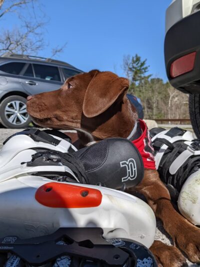 Parking for Putnam Trailway - Carmel Hamlet, NY