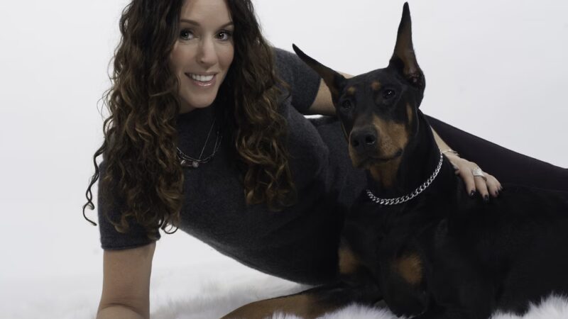 Westchester K-9 - Serving Westchester, Putnam, CT, NYC - Carmel Hamlet, NY