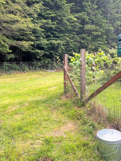 Tolt Tail-Waggin Sniffspot - Private Dog Park rental - Carnation, WA