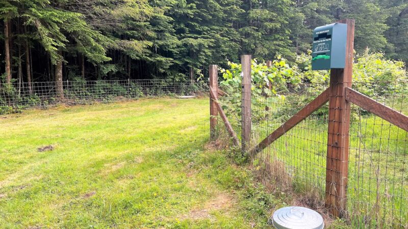 Tolt Tail-Waggin Sniffspot - Private Dog Park rental - Carnation, WA