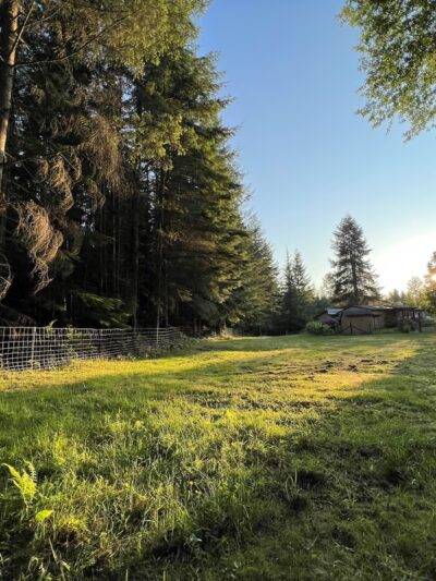 Tolt Tail-Waggin Sniffspot - Private Dog Park rental - Carnation, WA