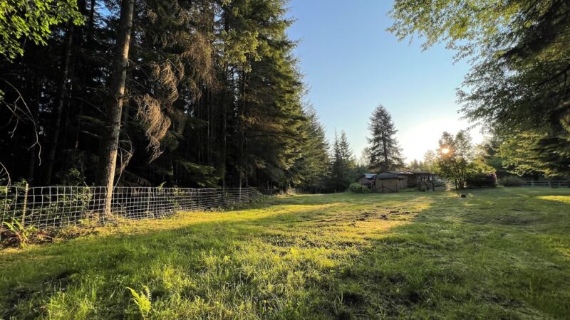 Tolt Tail-Waggin Sniffspot - Private Dog Park rental - Carnation, WA