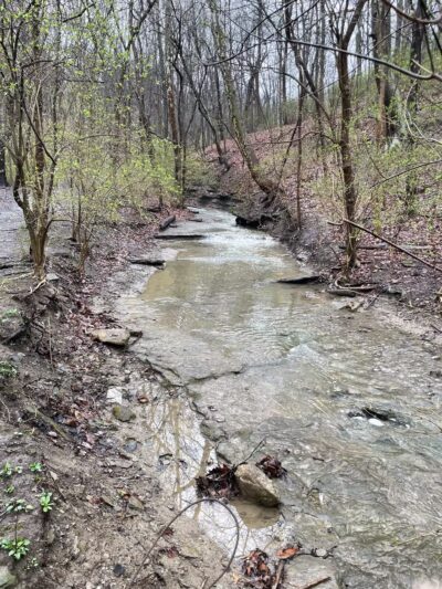 Kane Woods Nature Area - Scrubgrass Run Trailhead - Carnegie, PA