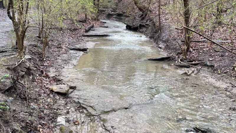 Kane Woods Nature Area - Scrubgrass Run Trailhead - Carnegie, PA