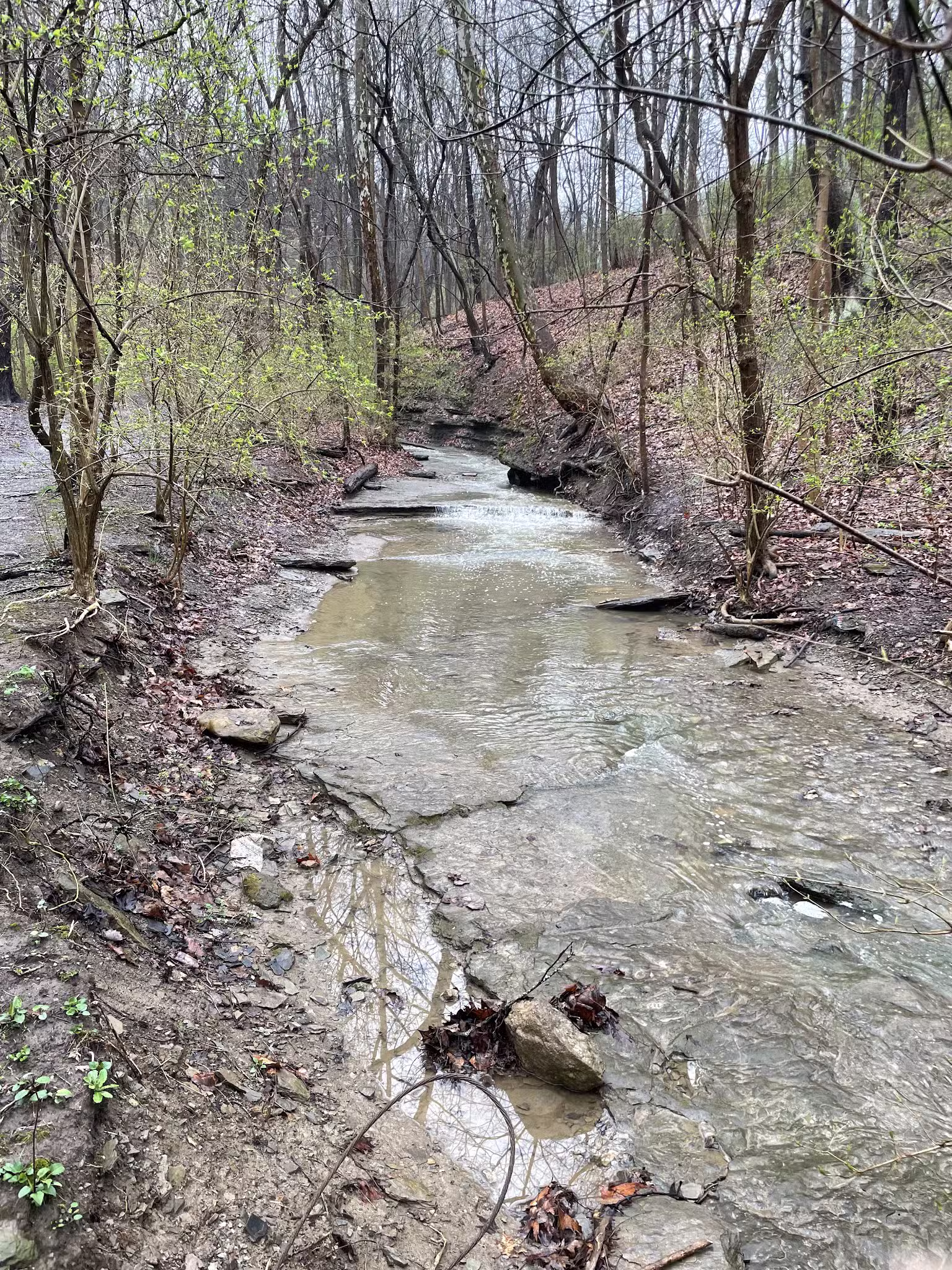 Kane Woods Nature Area - Scrubgrass Run Trailhead - Carnegie, PA