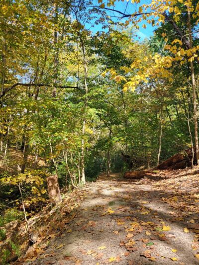 Kane Woods Nature Area - Scrubgrass Run Trailhead - Carnegie, PA