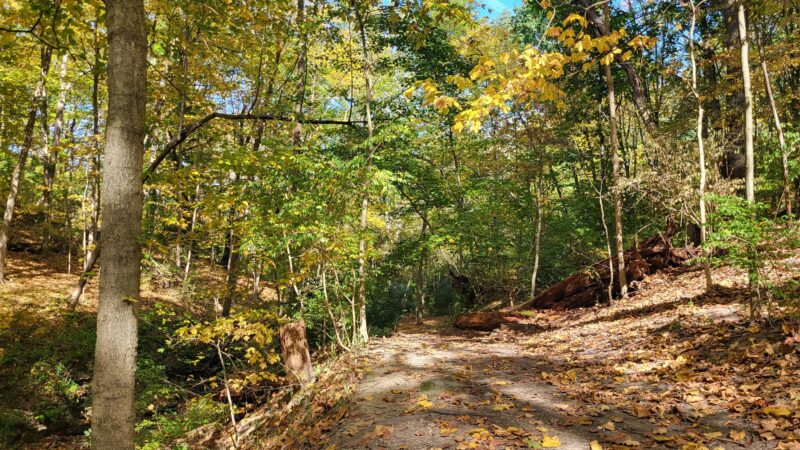 Kane Woods Nature Area - Scrubgrass Run Trailhead - Carnegie, PA