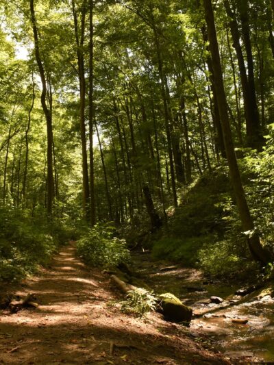 Waterfall Trail, Settlers Cabin Park - Carnegie, PA