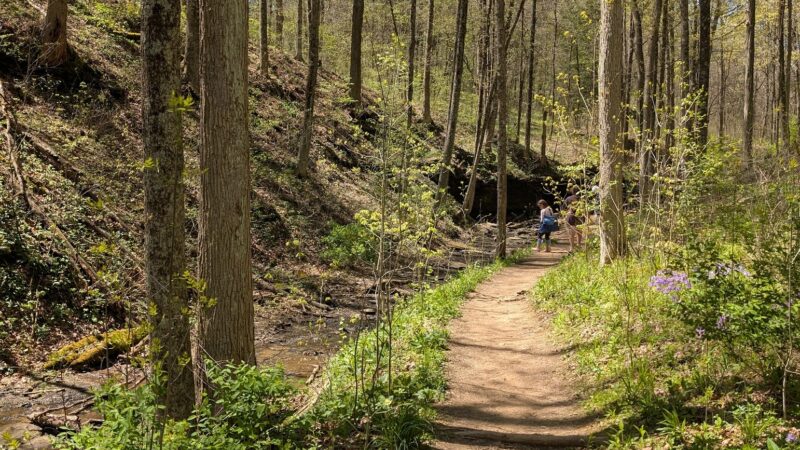 Waterfall Trail, Settlers Cabin Park - Carnegie, PA