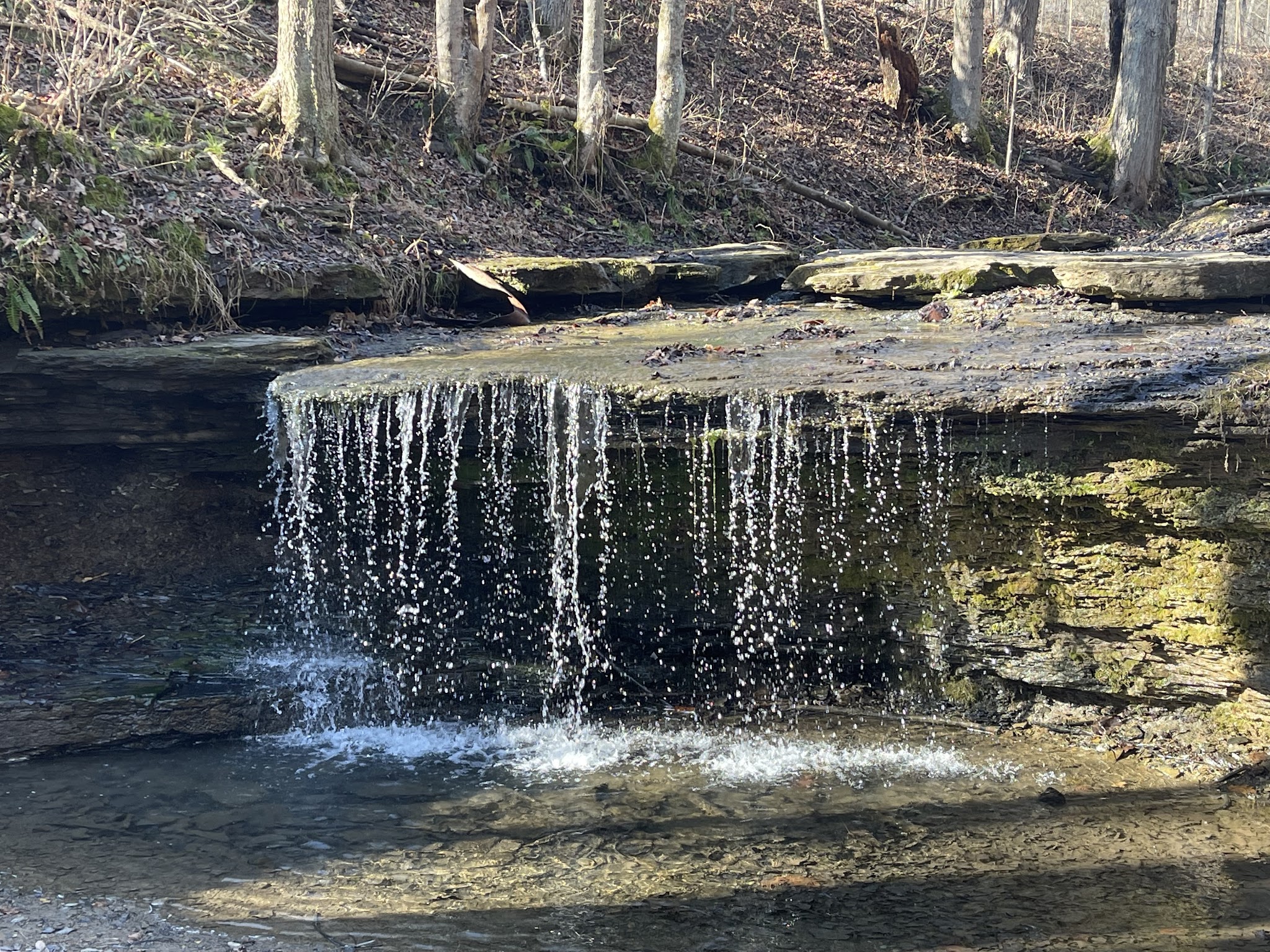 Waterfall Trail, Settlers Cabin Park - Carnegie, PA | Bark Park Finder