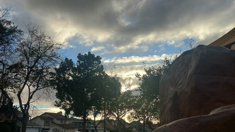 Calas Park - Carson, CA