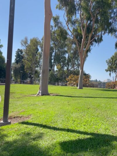 Veterans Park - Carson, CA