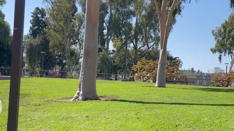 Veterans Park - Carson, CA