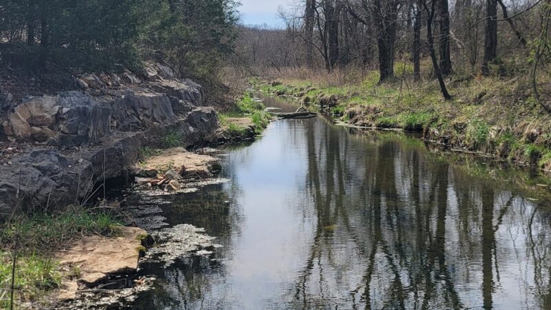 Cardinal Valley Trail Head - Carterville, MO