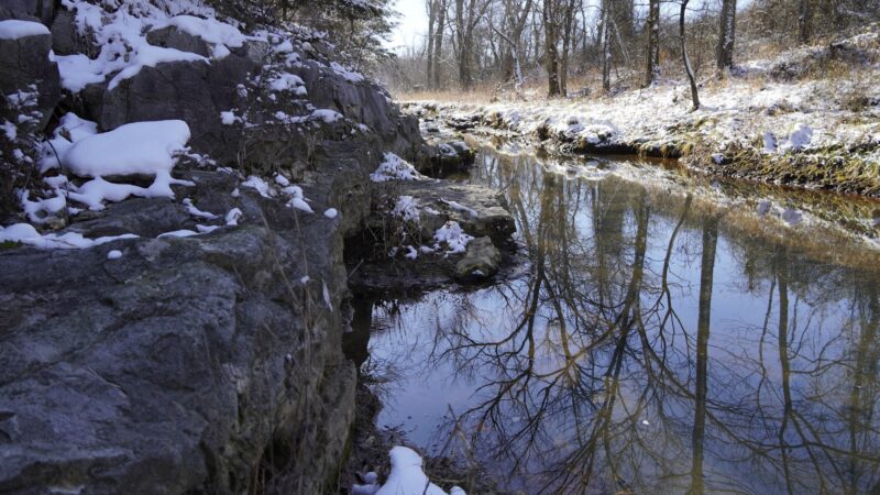 Cardinal Valley Trail Head - Carterville, MO