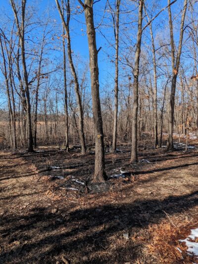 Cardinal Valley Trail Head - Carterville, MO