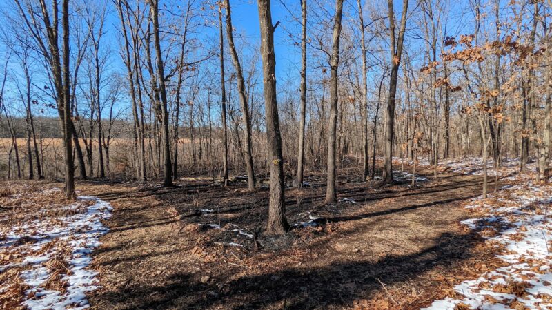 Cardinal Valley Trail Head - Carterville, MO