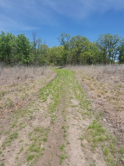Cardinal Valley Trail Head - Carterville, MO