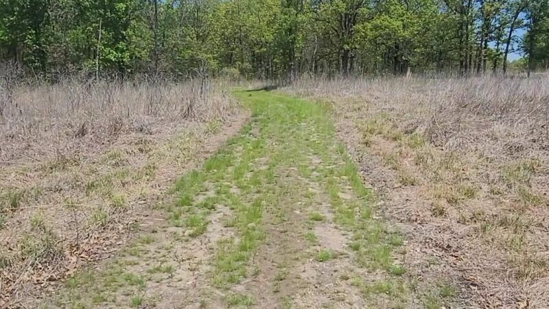 Cardinal Valley Trail Head - Carterville, MO