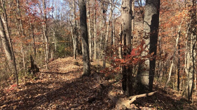 Bruce Gap (Cove Creek) Trailhead of the Cumberland Trail - Caryville, TN