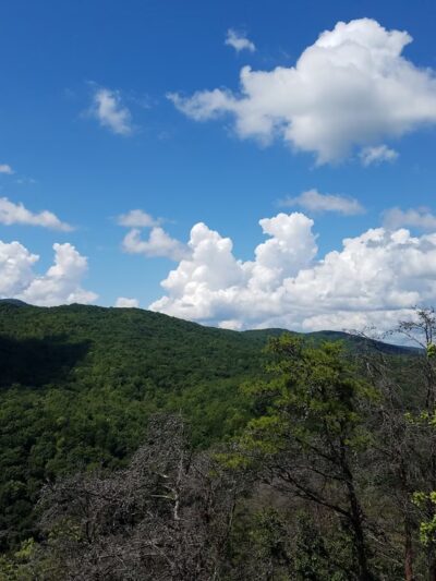 Bruce Gap (Cove Creek) Trailhead of the Cumberland Trail - Caryville, TN