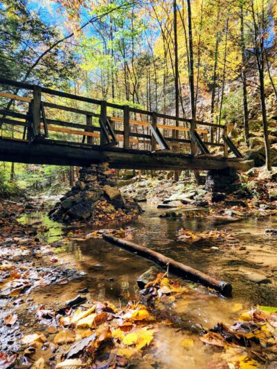 Triple Falls Parking Lot - Caryville, TN
