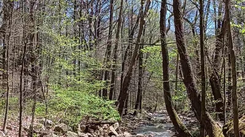 Triple Falls Parking Lot - Caryville, TN
