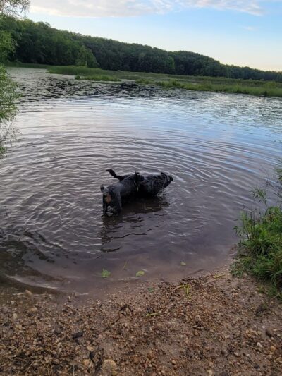 Dog Training Area - Cascade, WI