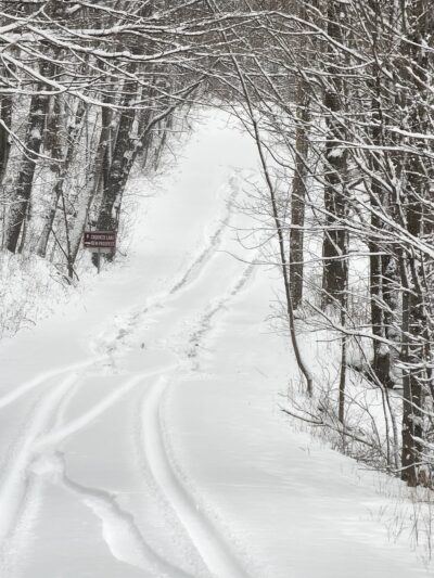 Dog Training Area - Cascade, WI