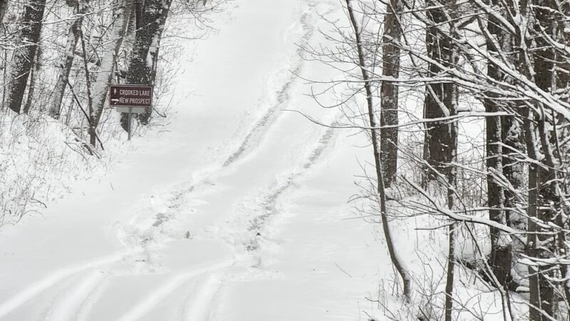Dog Training Area - Cascade, WI